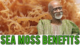 Dr Sebi Talks About Amazing Benefits Of Sea Moss [upl. by Eiuqnom238]