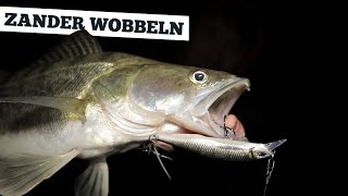 Zander Wobbeln  3 wichtige Tipps  So klappts mit Wobbler in der Nacht [upl. by Zeitler]