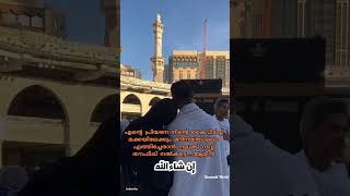 Mappila Song Watsapp Status  Madh Song Status  Makkah Madeena Song Status  Ishalintey Rappakal [upl. by Nahgeam]