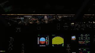 XPlane 12  Butter Emergency Landing  xplane12 [upl. by Noraa634]