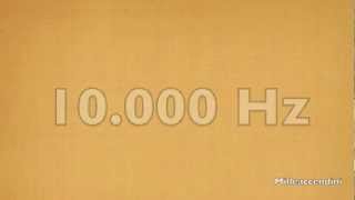 Sound Test 10000 hz  8 hz [upl. by Lardner151]