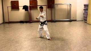 ICTF Pattern Taekwondo  Four Direction Punch [upl. by Ahsenre566]