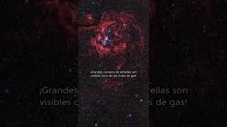 ¡EL ERROR QUE NADIE NOTO EN GUARDIANES DE LA GALAXIA VOL 3 [upl. by Ebanreb]