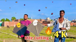 Kite Cutting In 4K HD 🔥 Kite Fighting from Ground [upl. by Eihctir]