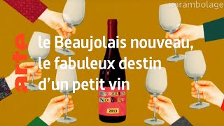 le Beaujolais nouveau le fabuleux destin dun petit vin  Karambolage  ARTE [upl. by Ragg472]