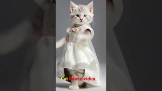 Cat frak Mae dance Kar Rahi ha Cat dance Ai video catsworld catworld lovelycat catwatch flyin [upl. by Sualakcin]