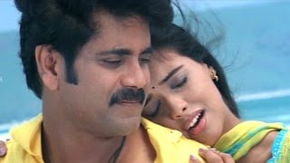 Shivamani Telugu Movie  Yenaatiki Video Songs  Nagarjuna Asin [upl. by Aicenav488]