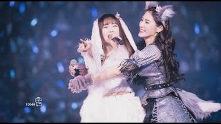 Vietsub Sói và lòng tự trọng Ookami to Pride  DaiMo Fancam [upl. by Rikki]