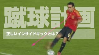 蹴球計画「正しいインサイドキックとは…」参照動画集（サッカーテクニック） [upl. by Lissi734]