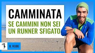 LIMPORTANZA DELLA CAMMINATA PER CHI CORRE runner se cammini non sei uno sfigato  VLOG [upl. by Ydnyl20]