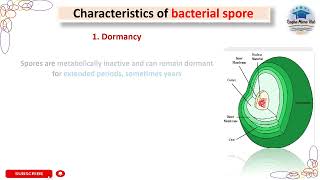 Characteristics of bacterial spore spore bacteria bacteriology [upl. by Anitsirc985]