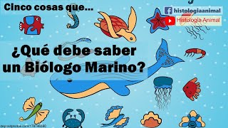 Cinco cosas que debe saber un Biólogo Marino [upl. by Neetsirk260]