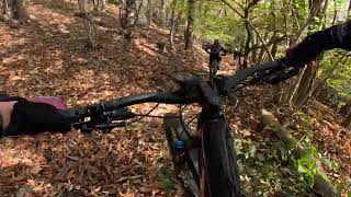 MTB TRAIL Brunate [upl. by Atinram]