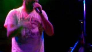 The Cat Empire  The Crowd Live [upl. by Nauqyaj847]