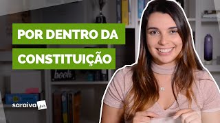 Entendendo a Constituição Federal [upl. by Atineb447]