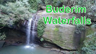 Buderim Rainforest and Waterfalls  Sunshine Coast Australia [upl. by Henke]