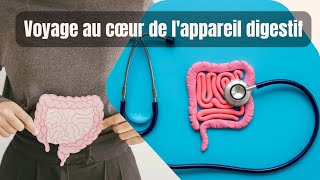 L’Appareil Urinaire et Digestif Pilliers de la Santé [upl. by Adnarem80]