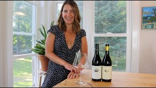 Nebbiolo vs Barolo [upl. by Erelia]