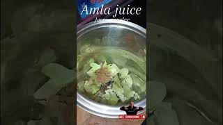 Amla juice for hair fall control  Boost hair growth Amla benefits for hair 🌿  Immunity booster [upl. by Aala546]