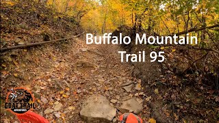 Hatfield McCoy Buffalo Mountain  Trail 95 [upl. by Odranoel]