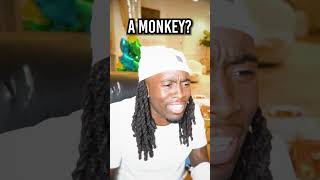 Fan Calls Kai Cenat amp Lil Uzi Vert And Calls Him A Monkey…😭💀 [upl. by Atneuqal]