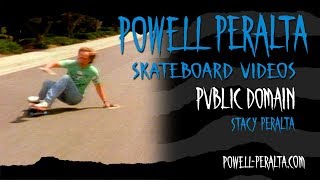 PUBLIC DOMAIN CH 1 STACY PERALTA [upl. by Aynuat]