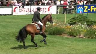 ♥ Cédric Angot and Jac Potes stallion HOLST [upl. by Ruthann401]