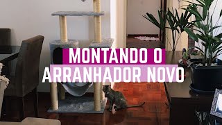 Montando o Presente de Natal da Mili e Chloe Arranhador Harem  Lillos Pet [upl. by Anneh]