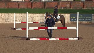 British Showjumping Training  Retraining of Racehorses  Part 3 [upl. by Jehius]