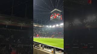 Eintracht Frankfurt Tor Pyro 🧨 [upl. by Bubalo862]