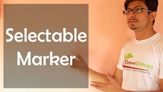 Selectable marker [upl. by Ynaitirb]