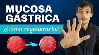 ¿CÓMO REGENERAR la MUCOSA GÁSTRICA 🔴 Método 32 RECUPERA tus DIGESTIONES [upl. by Ozzy525]