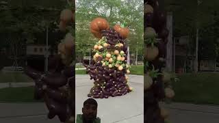 youtubeshorts fruit garden flowers amazingfacts trending [upl. by Kelton]