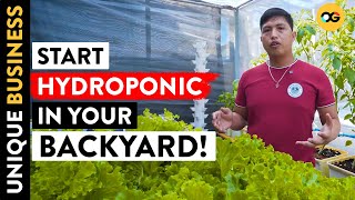 Got P500 to Invest Learn Hydroponics Farming TUTORIAL  OG [upl. by Olodort]