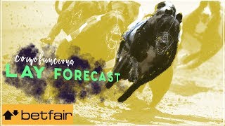 Como funciona o projeto lay forecast nos galgos [upl. by Ylrebmi108]