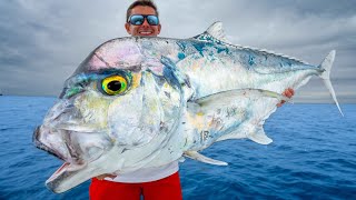 Most PRIZED Deep Sea Fish Catch Clean Cook African Pompano [upl. by Oelc]