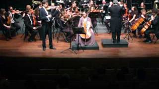 Brahms Double Concerto Andante [upl. by Balough449]