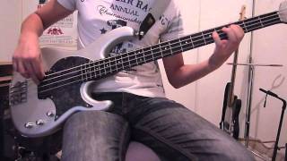 The Adventures Of Raindance Maggie  Red Hot Chili Peppers Bass Lesson [upl. by Klenk701]