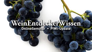 🍇 PiWiUpdate 🍇 – WeinEntdeckerWissen OnlineSeminar [upl. by Hirai]