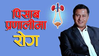 पिसावको रोग 🚽  किन लाग्छ 🤔 कसरी जोगिने 🛡️ Prof Dr Sudip Raj KC Urologist 🩺  NIKO NEPAL 🇳🇵 [upl. by Oiretule]