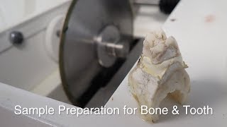 Sample Preparation for Bone and Tooth Thin Section [upl. by Soneson]