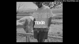 TekirNeyse Boşver  FULL STÜDYO KAYDI [upl. by Adon973]