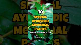 Best ayurvedic medicinal plants name and their uses  Ayurvedic plants short healthylife [upl. by Sielen]