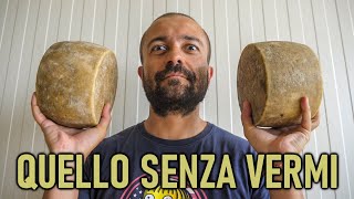 Tutti pazzi per il PECORINO SARDO  Ep 15 🍞🧀🍷🐑🐑🐑🐑🐑🐑 [upl. by Nael]