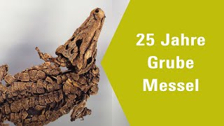 25 Jahre Grube Messel [upl. by Lorimer167]