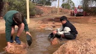 Finds gold at Kalgoorlie Western Australia gold funs kids holiday [upl. by Kalmick]