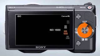 NEX ISO Settings [upl. by Hcurob]