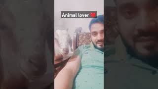 Animal lover animalsytshorts ytviral cr7 youtube reels cat goat baby cute edit tranding [upl. by Halludba204]