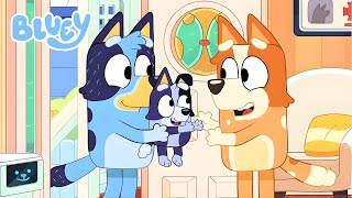 BLUEY SURPRISE EPISODE IN 8 MINUTES Season 3 Finale [upl. by Malinowski50]