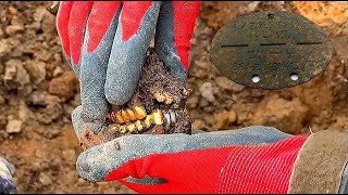 EXCAVATIONS OF GERMAN AND SOVIET WWII SOLDIERS WITH WEAPONS  WW2 METAL DETECTING [upl. by Beera]